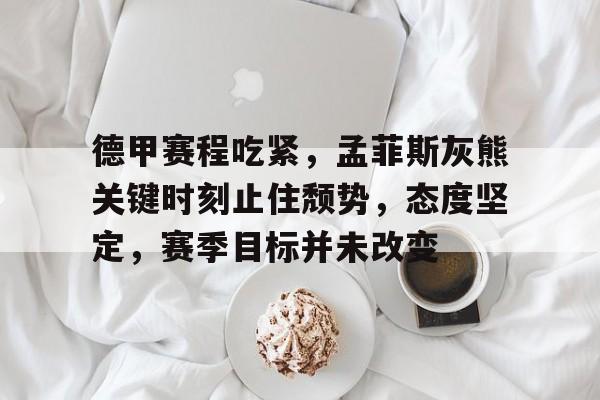 星空体育app下载-德甲赛程吃紧，孟菲斯灰熊关键时刻止住颓势，态度坚定，赛季目标并未改变的简单介绍